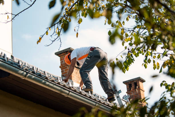 Best Roof Leak Repair  in Bexley, OH