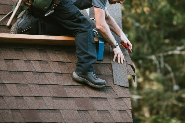 Best Roof Gutter Cleaning  in Bexley, OH